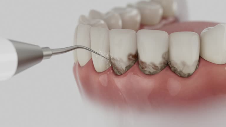 Reliable Dental contractor in Rome, GA by Dentist Open Now